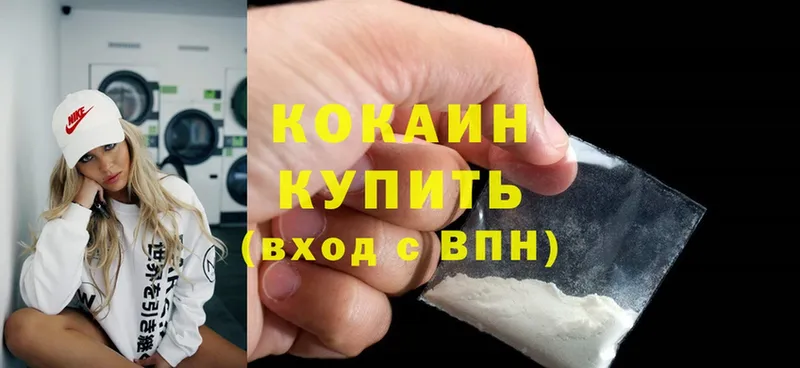 закладка  Кудрово  Кокаин FishScale 